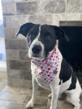 Load image into Gallery viewer, Candy Hearts Pet Bandana
