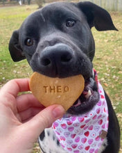 Load image into Gallery viewer, Candy Hearts Pet Bandana
