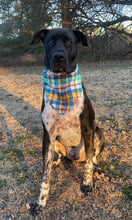 Load image into Gallery viewer, Spring Argyle Pet Bandana
