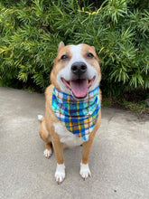 Load image into Gallery viewer, Spring Argyle Pet Bandana
