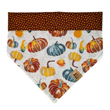 Load image into Gallery viewer, Gourds Galore Pet Bandana
