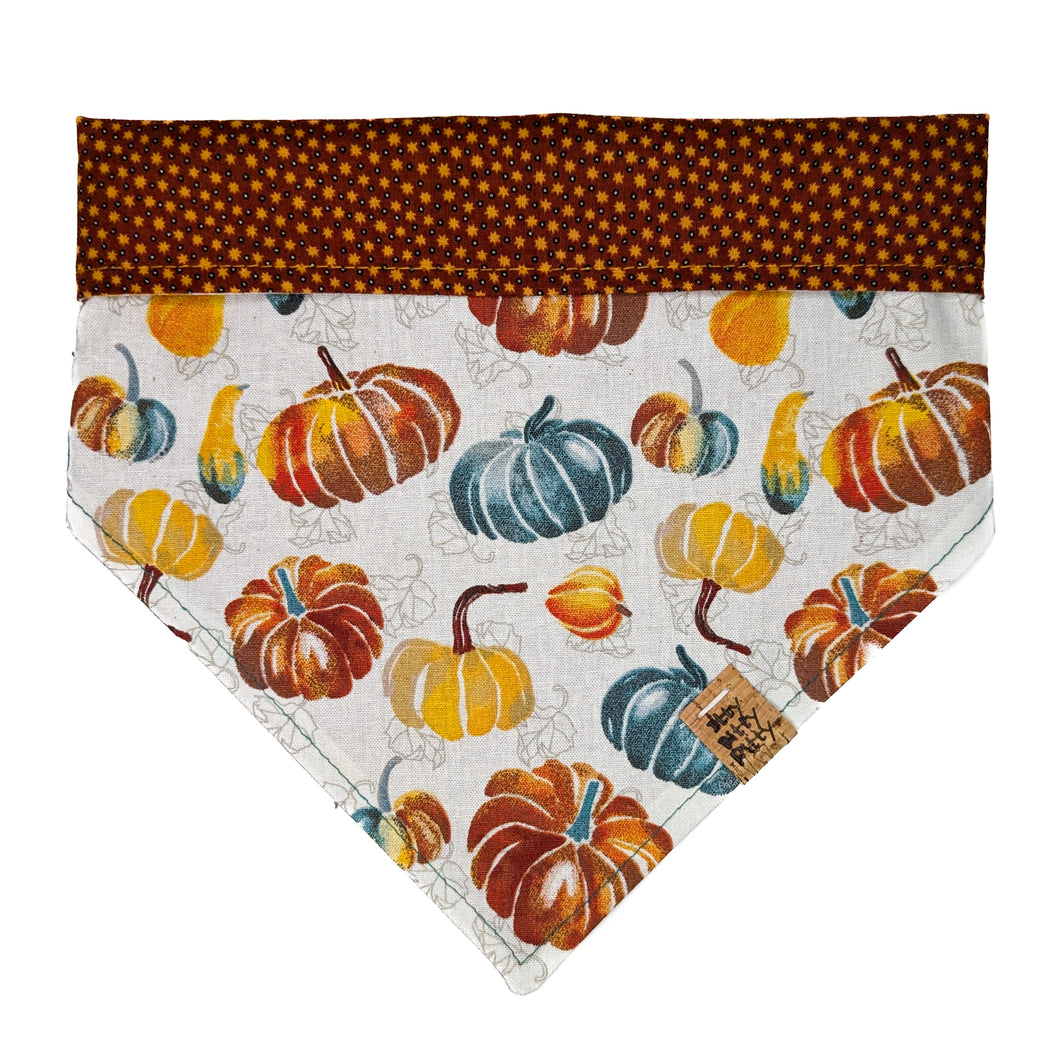 Gourds Galore Pet Bandana