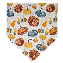 Load image into Gallery viewer, Gourds Galore Pet Bandana
