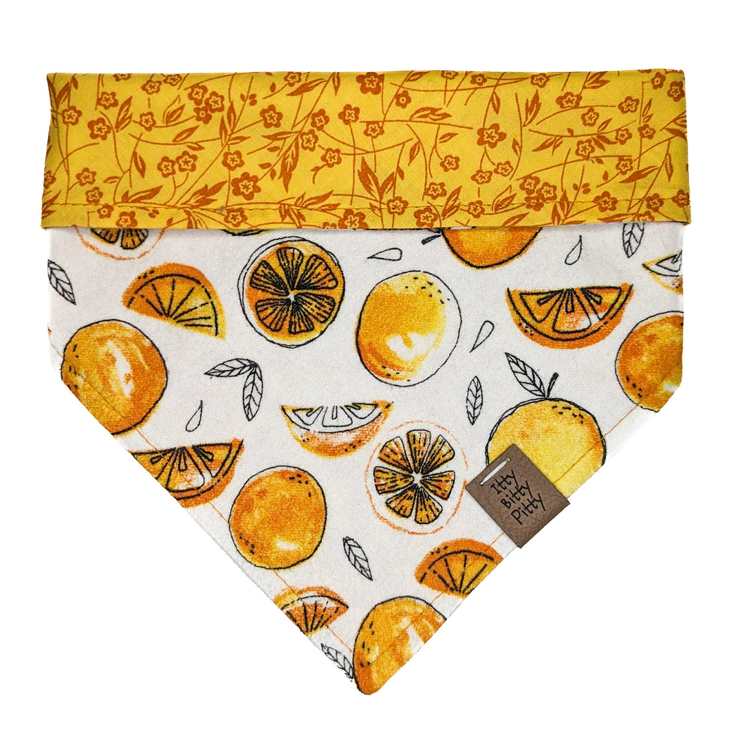 Darling Clementine Pet Bandana