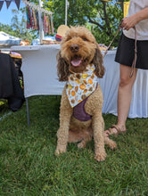 Load image into Gallery viewer, Darling Clementine Pet Bandana
