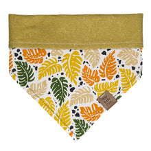 Load image into Gallery viewer, Monstera Pet Bandana
