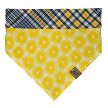 Load image into Gallery viewer, Lemon Squeeze Pet Bandana
