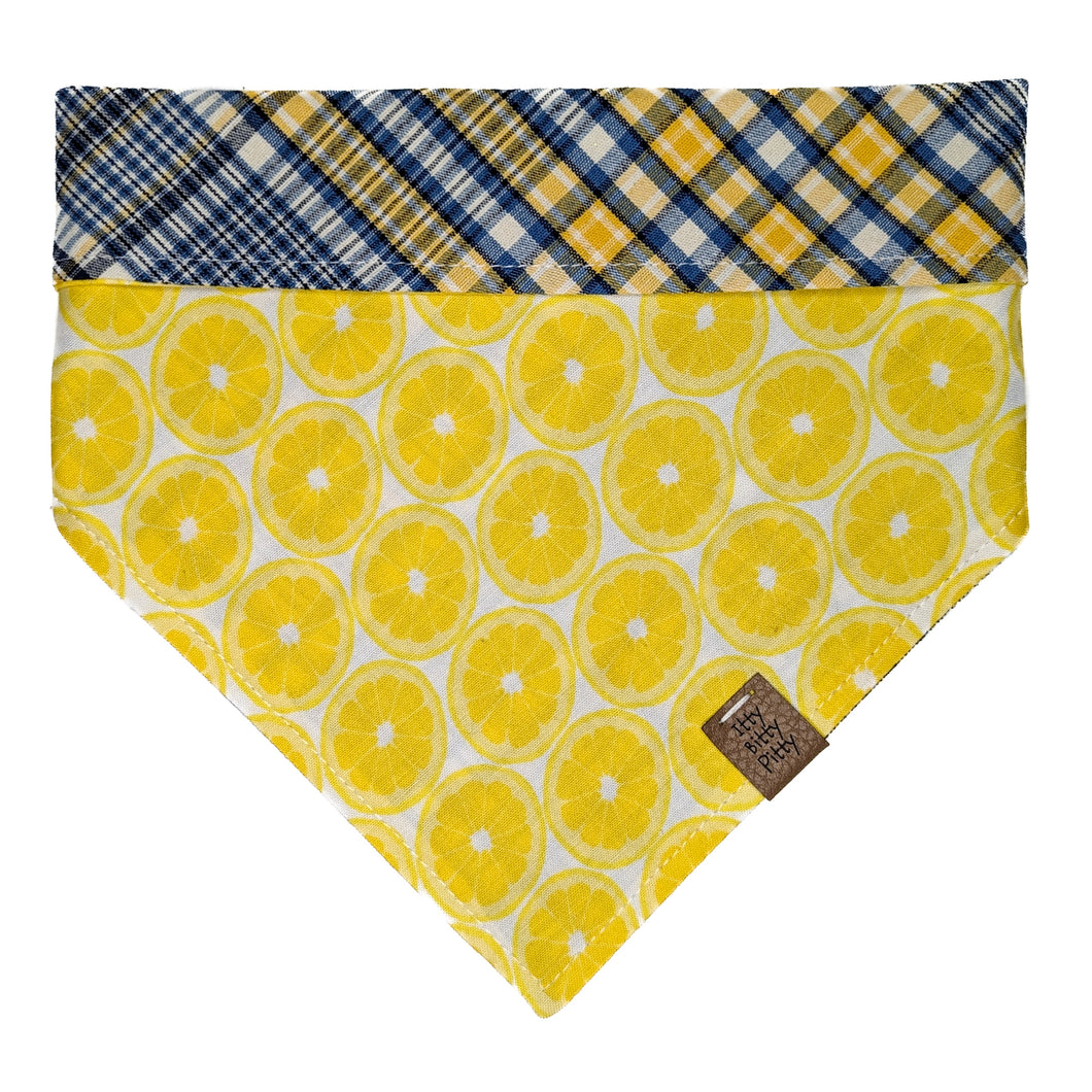 Lemon Squeeze Pet Bandana