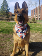 Load image into Gallery viewer, Geometric Christmas Pet Bandana
