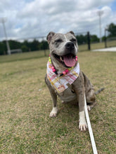 Load image into Gallery viewer, Spring Has Sprung Pet Bandana
