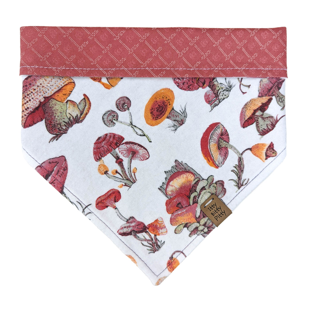 Toadstool Tales Pet Bandana