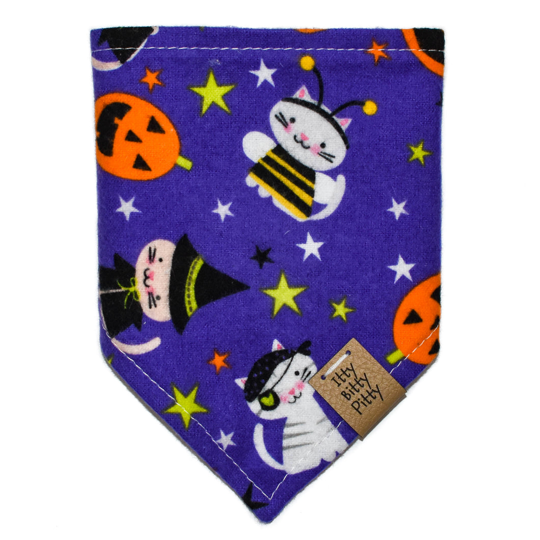 Halloween Cats Pet Bandana