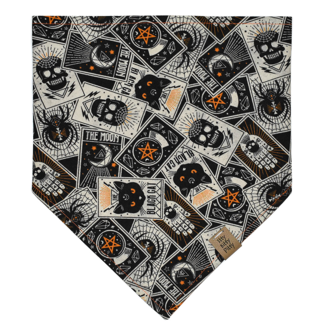 Spooky Season Pet Bandana