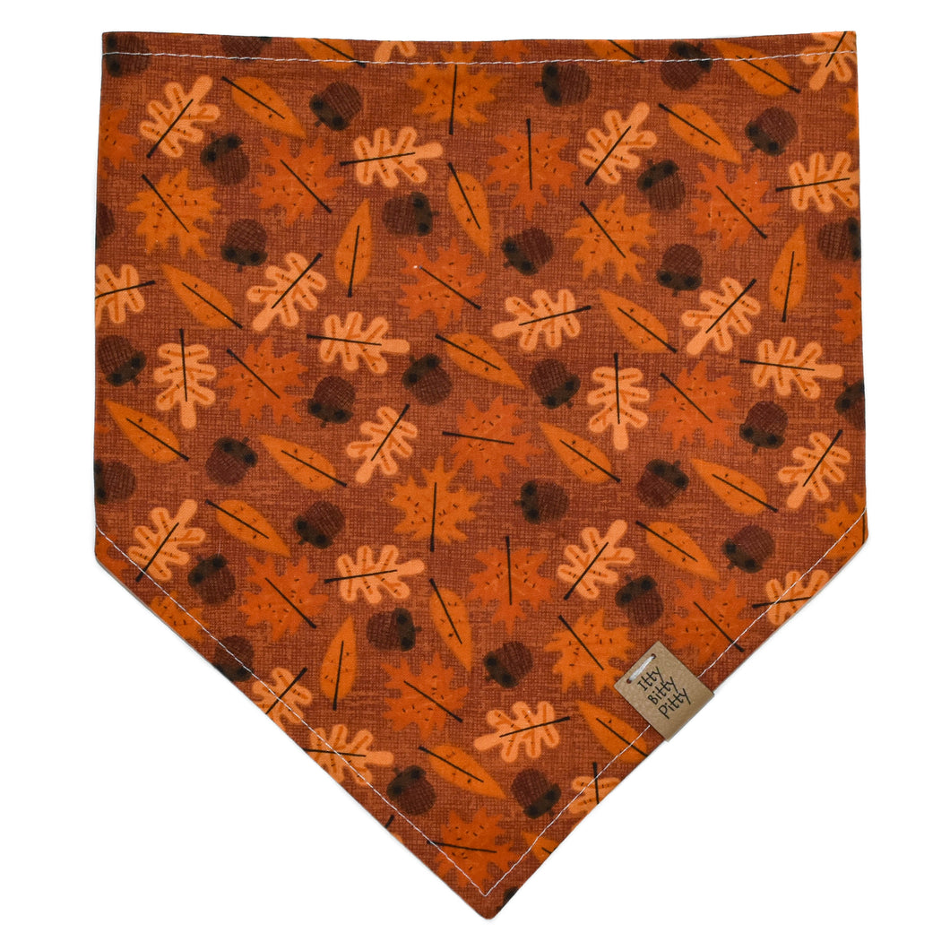 Acorn Pet Bandana